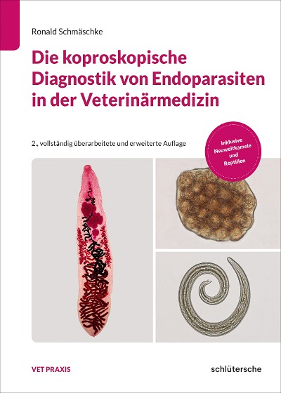Abbildung