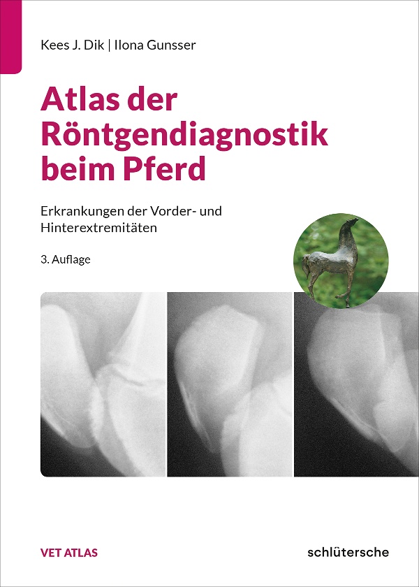 Abbildung