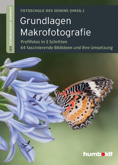 Abbildung