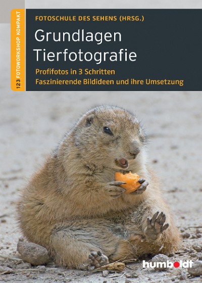 Abbildung