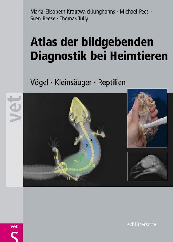 Abbildung