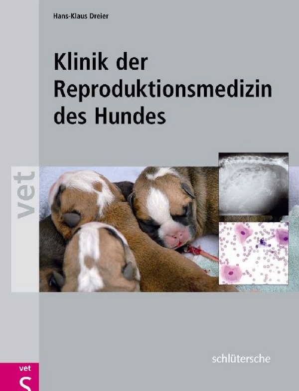 Abbildung