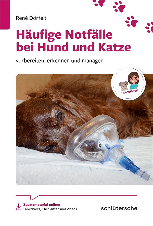 Abbildung