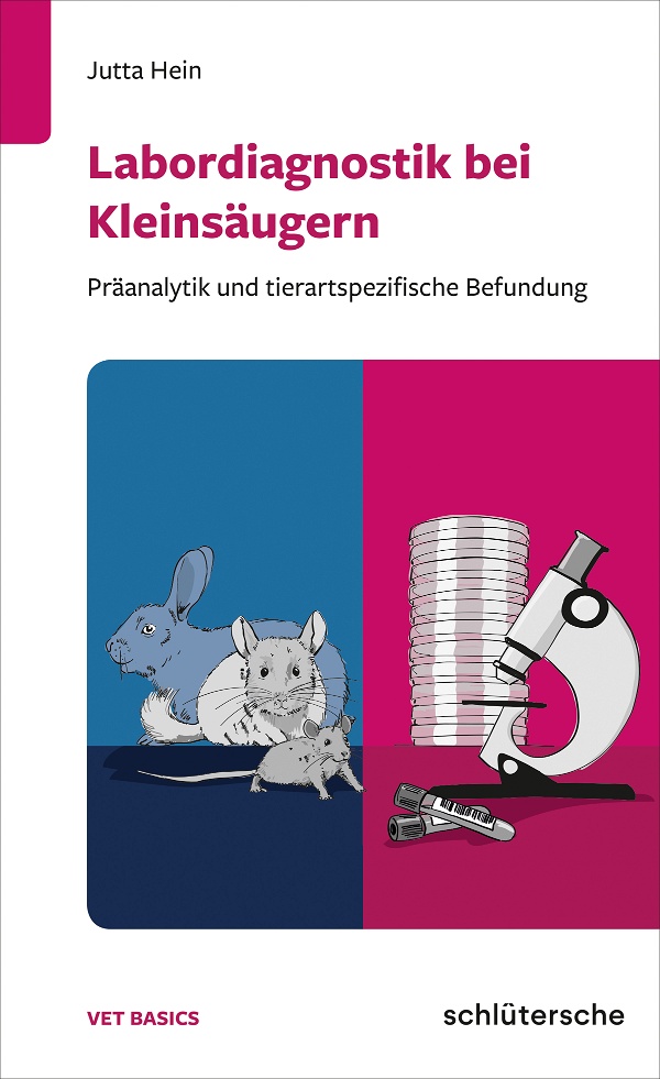 Abbildung