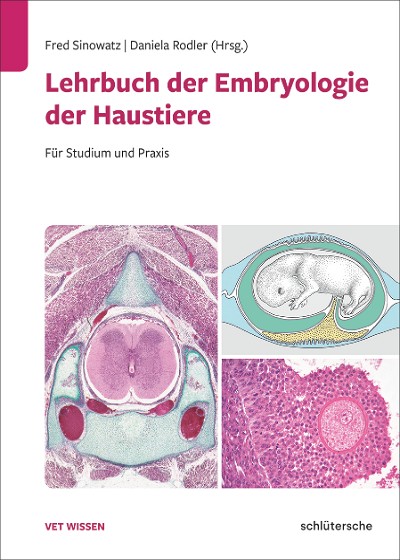 Abbildung