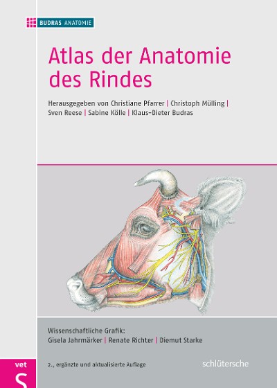 Abbildung