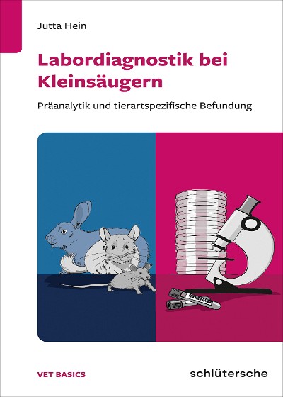 Abbildung