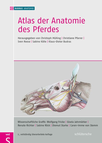 Abbildung