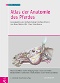 Abbildung