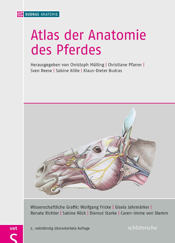 Abbildung