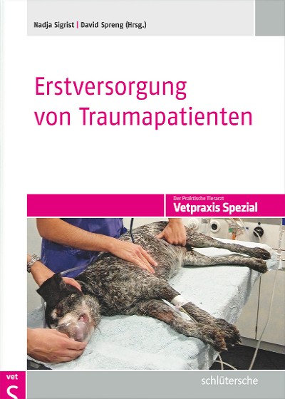 Abbildung
