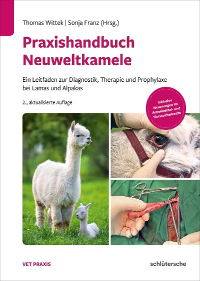 Abbildung