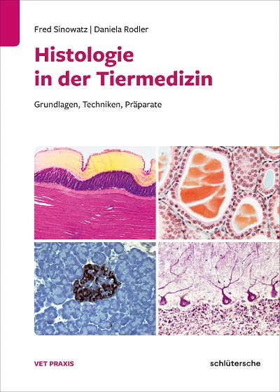 Abbildung